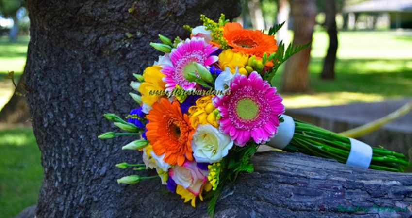 contactar con bardon floristas contactar con bardon floristas